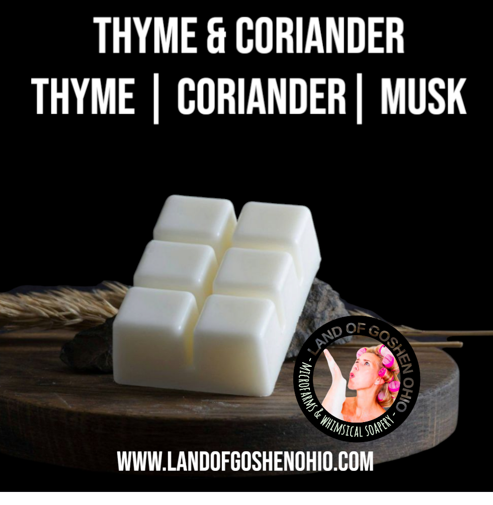 Wax Melts