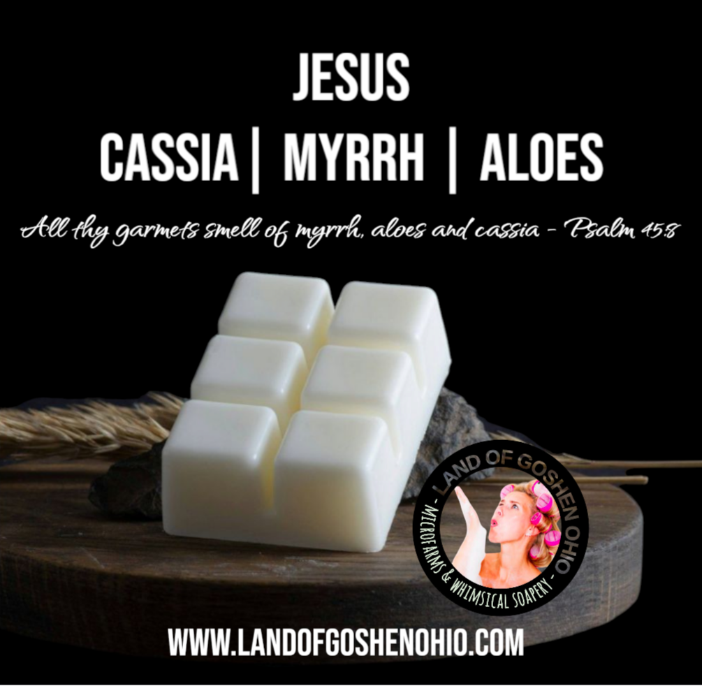 Wax Melts